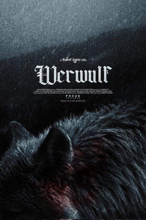 Close-up of a dark, furry wolf with movie title Werwulf in bold gothic letters above, set against a misty, shadowy background. Small credits and A Robert Eggers film appear at the top, evoking an atmospheric style perfect for fans seeking supernatural tales on IPTV Suisse.